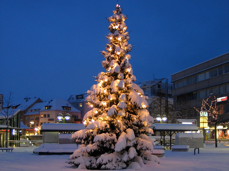 weihnachtsbaum f 252 r weilimdorf gesucht stuttgart weilimdorf weihnachtsbaum f 252 r weilimdorf gesucht stuttgart weilimdorf