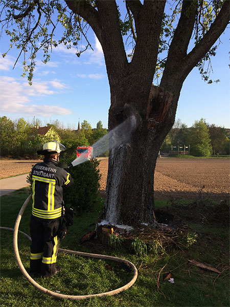 feuerwehrbrand-baum