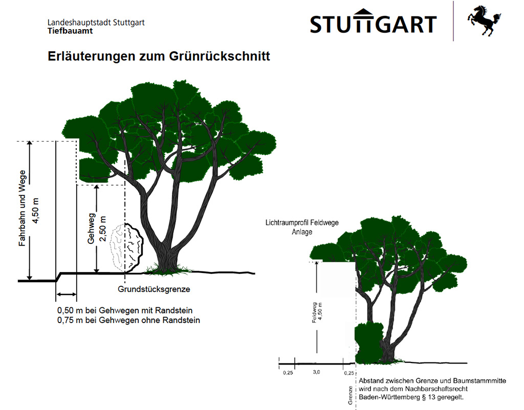 gruenrueckschnitt