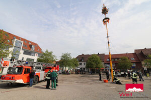 img_0990_maibaum
