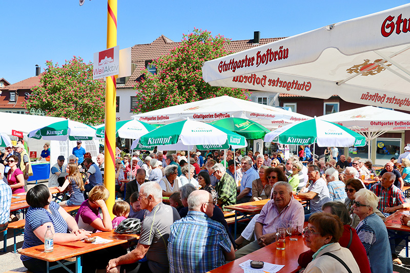img_2866-maibaumfest2018