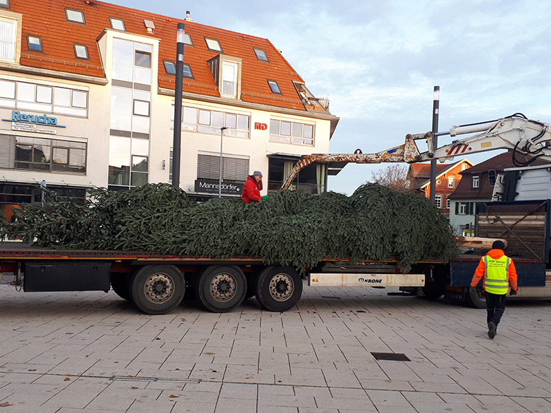 20191123_081939-weihnachtsbaum2019