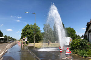 img_5790-hydrant-hmg
