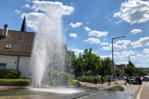 img_5793-hydrant-hmg