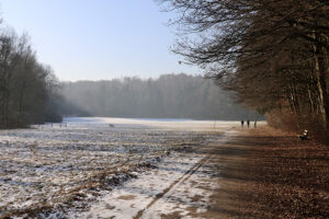 Lindental im Winter