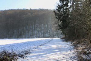 Lindental im Winter