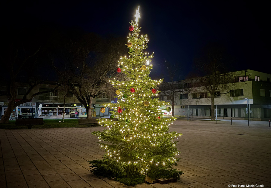 Weihnachtsbaum im Giebel 2019, Foto: GOEDE