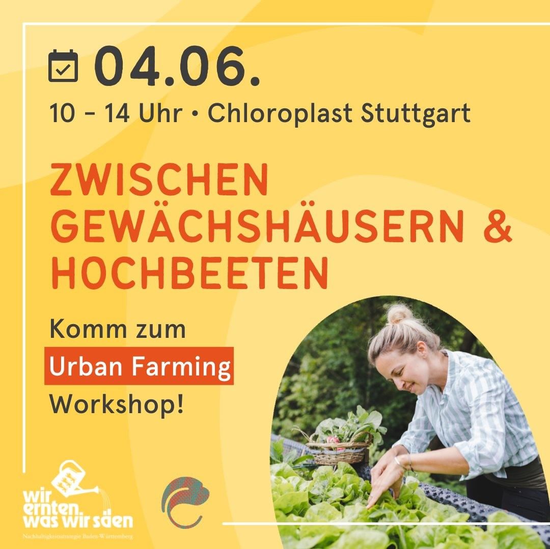 Chloroplast Workshop