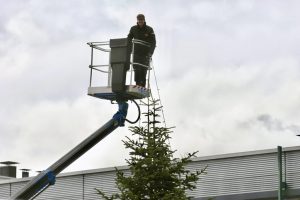 Anfuhr und Aufbau Weihnachtsbaum 2022 in Weilimdorf