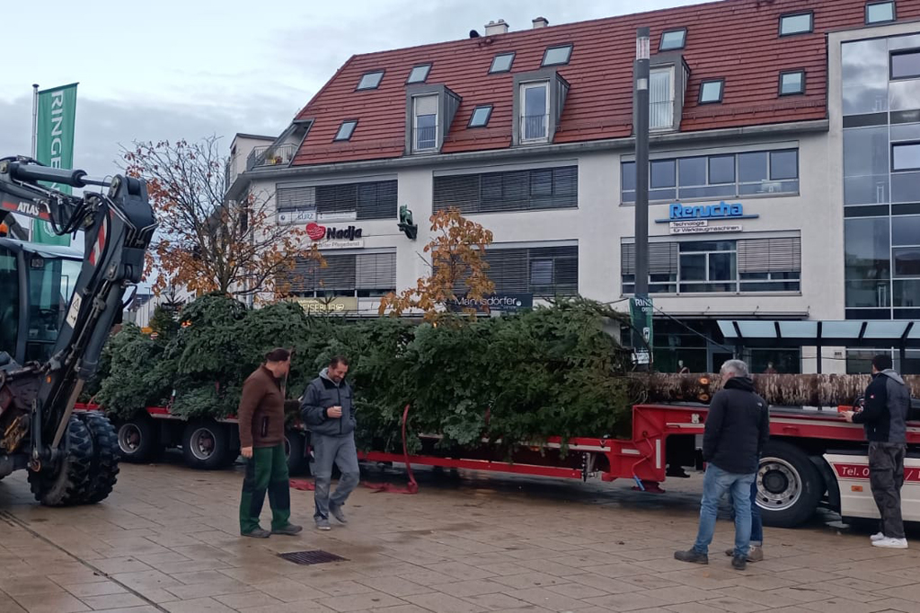 Anfuhr und Aufbau Weihnachtsbaum 2022 in Weilimdorf