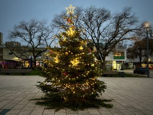 Weihnachtsbaum 2022 auf dem Ernst-Reuter-Platz