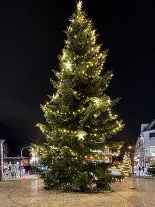 Weilimdorfer Weihnachtsbaum 2022, Foto: Peter Berg