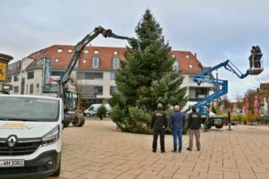 Weihnachtsbaum 2023 Copyright Andreas Rometsch