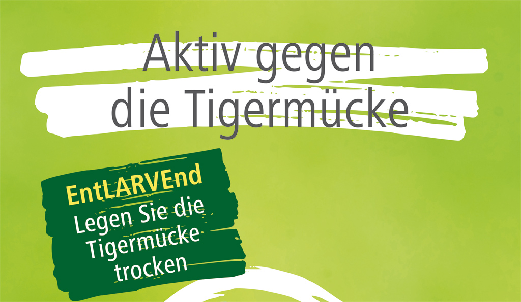 Kampagne des Gesundheitsamts: „EntLARVEnd – Leg die Tigermücke trocken“, Bildrechte LHS 2024