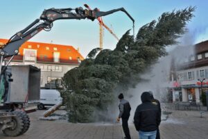 Weihnachtsbaum 2024 Löwen-Markt Copyright Andreas Rometsch