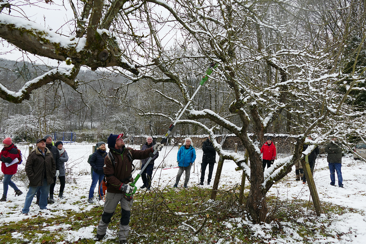 Schnittkurs am 15. Februar 2025, Foto Reinhardt